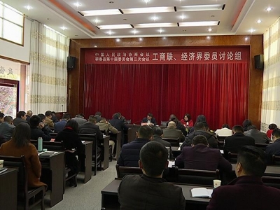 蔡旭银参加政协工商联 经济界审议报告