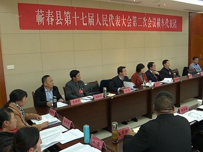 陈风参加人大横车代表团审议报告