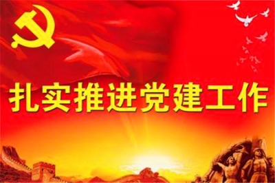 株林镇狠抓“15331”工程夯实党建工作