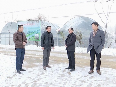 县征收办产业扶贫重实效