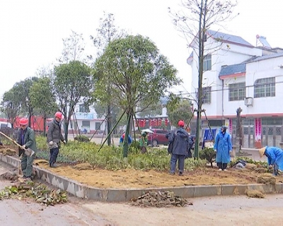 县园林局加速推进李时珍大道景观改造