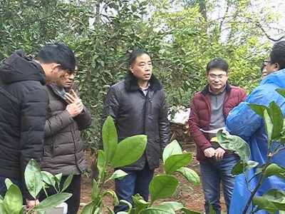 蕲太高速西段建设正式铺开
