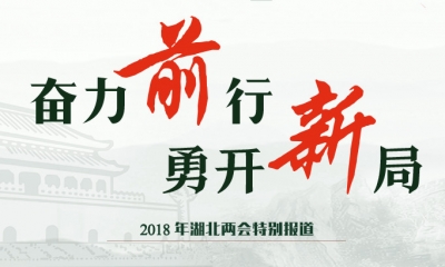 王晓东参加襄阳代表团审议时提出：贯彻新思想展现新作为 争当高质量发展排头兵