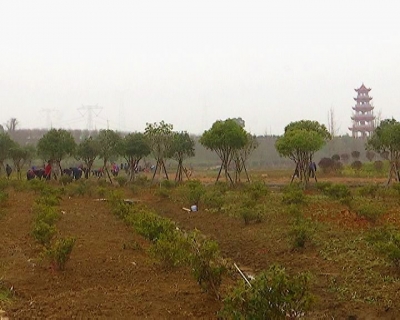 蕲州镇加快推进龙泉花海二期工程建设