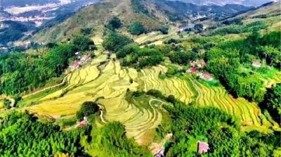 世外田园鲍山村