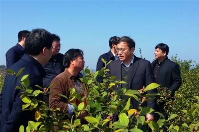 黄冈市农业生产暨精准灭荒现场会在蕲春召开