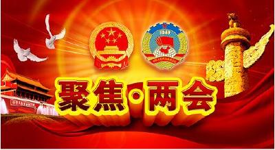 湖北省召开会议传达学习全国“两会”精神