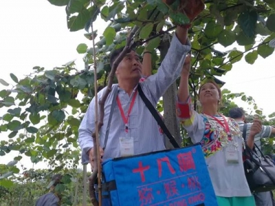 习近平两会上关心过问的10件“小事”