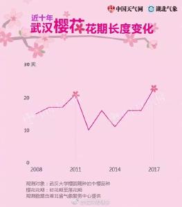 2018武大樱花官方预报出炉！赏樱吃喝玩乐攻略双手奉上！