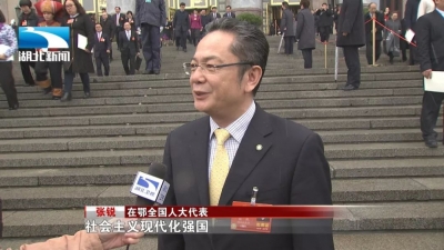 湖北团代表和全省干部群众热烈拥护习近平当选国家主席、中央军委主席
