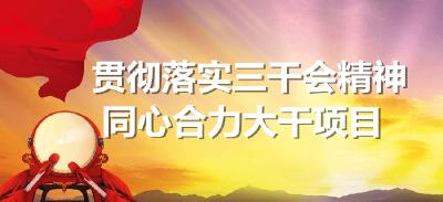 河西新兴工业区22个重点项目建设同步推进