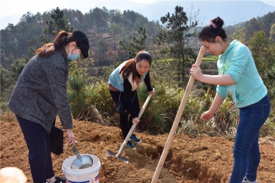 蕲春法院：我为春天增添一抹绿