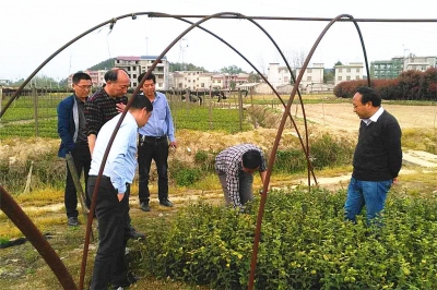 蕲春县林业局建设精准灭荒保障性苗圃