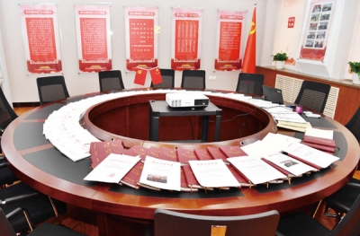 以问题促整改，推进“党建一体化” 