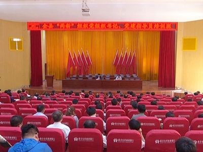 我县开展“两新”组织党建工作培训