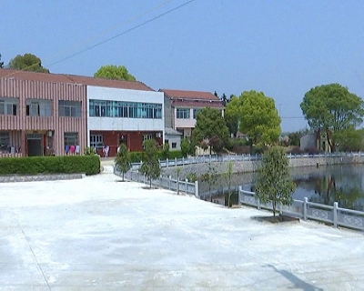 蕲州镇五里墩村借力建设生态旅游村 