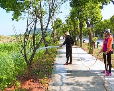 蕲州镇和赤龙湖入口景观带建设陆续完工