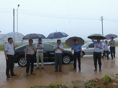 现场办公解难题 服务企业零距离