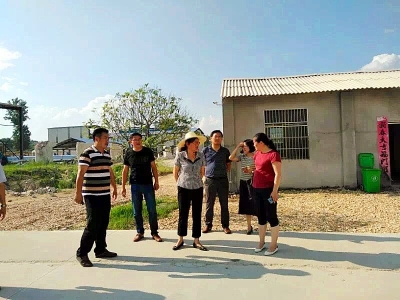 赵少莲到株林镇调研基层党建工作