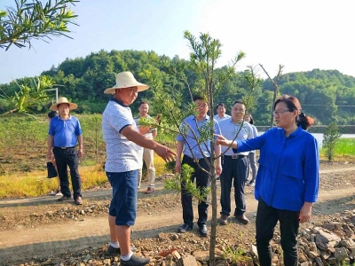 赵少莲：抓党建促脱贫 满足群众对美好生活新期待