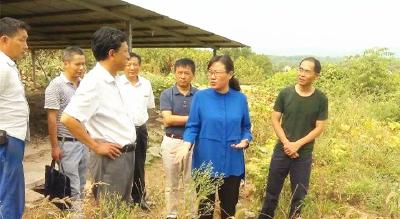 赵少莲：从严从快从实整改生态环保突出问题  以实际成效推动县域经济高质量发展