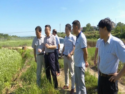 治理畜禽养殖污染 改善农村生态环境