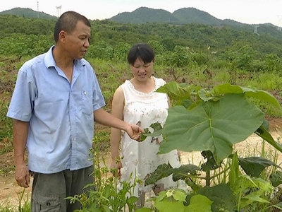 从精神滑坡到坚定信心  陈学良脱贫摘帽
