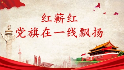 张继军：带领群众发展产业振兴乡村