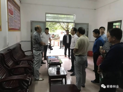 蕲春县人大开展《湖北省林业有害生物防治条例》贯彻实施情况执法检查