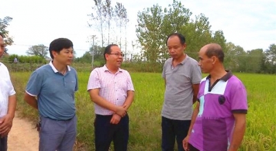 赤东镇依法关停禁养区畜禽养殖场