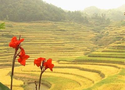 雾云山生态旅游区入列国家4A旅游景区