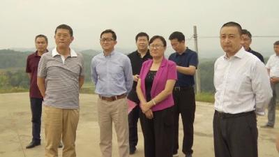 招商局集团高层来蕲调研定点帮扶工作