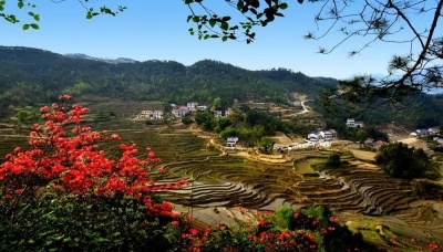 这就是蕲春｜遇见 • 最美乡村雾云山