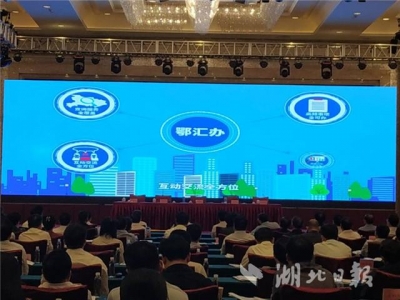 湖北政务服务APP今日上线 诸多事项可以
