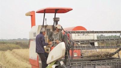张国平：人穷志不短 勤劳土生金 