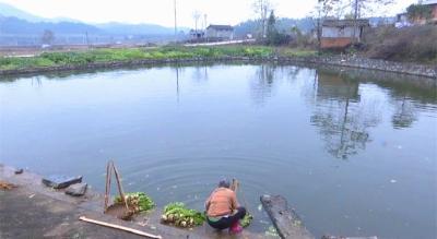 暗访漕河镇彭祖村和飞跃村 