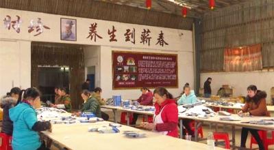 吴红玲：发展蕲艾产业带动群众增收
