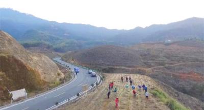 刘河镇高潮村：白茶产业富民强村