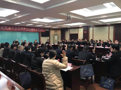 市五届人大四次会议蕲春县代表团召开第一次全体会议