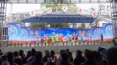 荆楚“红色文艺轻骑兵”惠民演出活动走进赤东镇陈云村