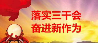 【落实三干会 奋进新作为】刘河镇：项目落地 高质量发展开好局