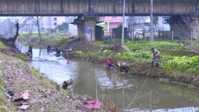 铁箭河下游河段环境污染整治不彻底
