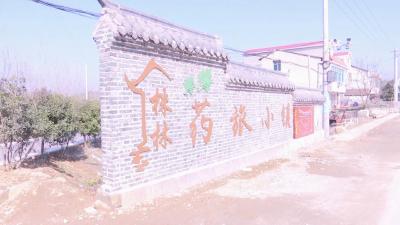 株林镇：建设大基地 推进大脱贫 