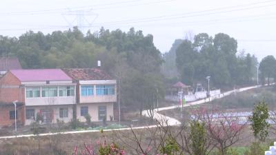 【聚焦新三农 美丽乡村看变化】蕲州镇韦庄村：打造宜居生态村产业扶贫示范村