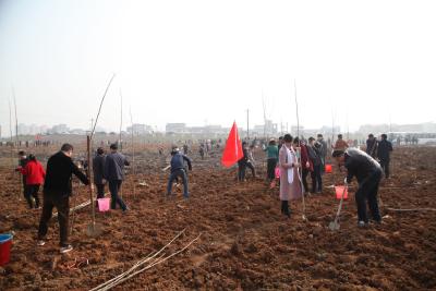 蕲春县国土资源局开展义务植树 绿化美丽国土