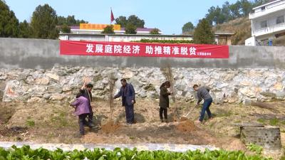 大同镇南冲村：引导贫困户发展庭院经济增加收入