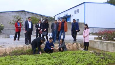 省科技厅调研指导大健康产业及艾草自然科技资源库项目建设