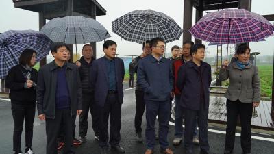 省交通运输厅来蕲考核“四好农村路”示范乡镇创建工作