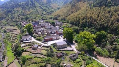 向桥乡狮子堰村：传承古村落文化 建设美丽乡村 