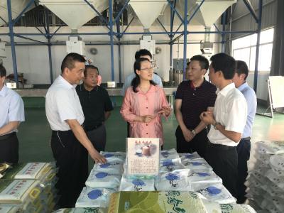 邱丽新：突出“一县一品”特色 做大做强地标优品产业链 